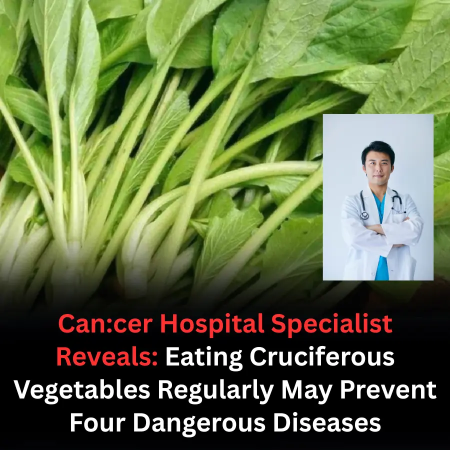 Can,cer Hospital Specialist Reveals: Eating Cruciferous Vegetables Regularly May Prevent Four Dangerous Diseases
