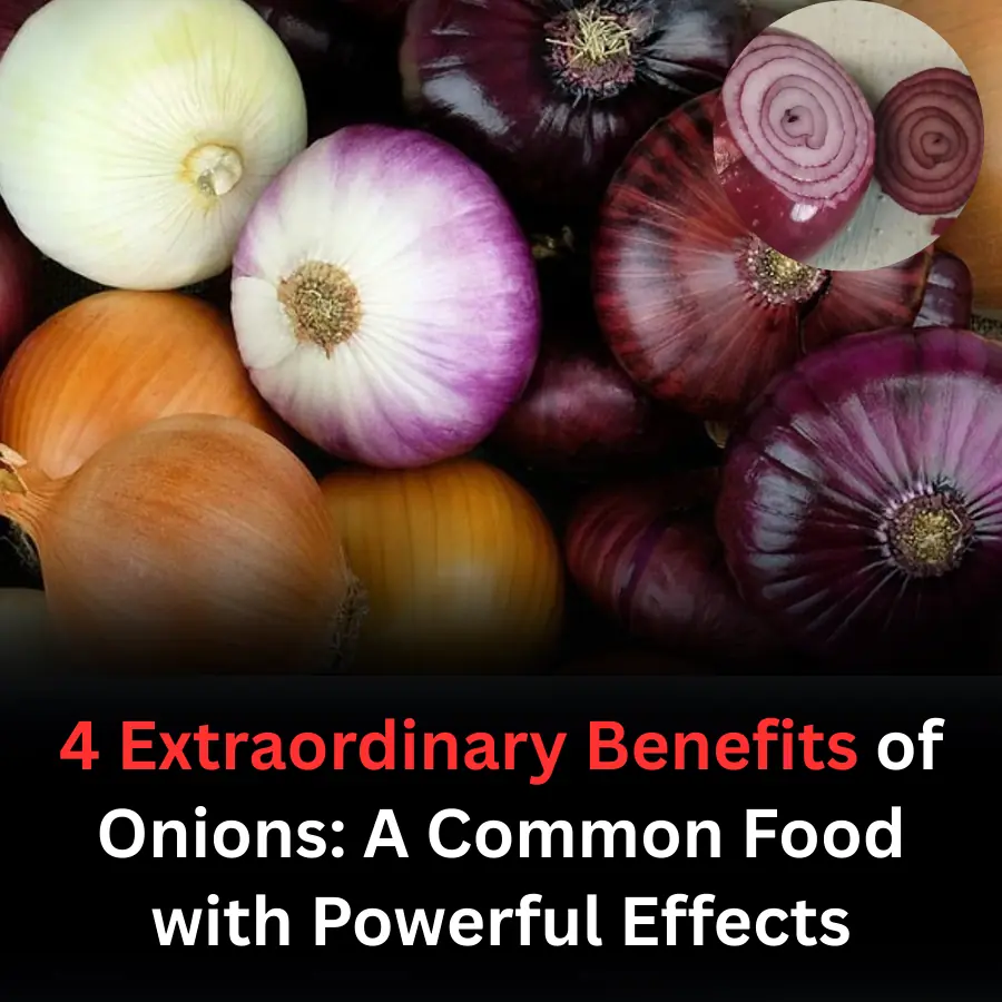 4 Extraordinary Benefits of Onions: A Common Food with Powerful Effects