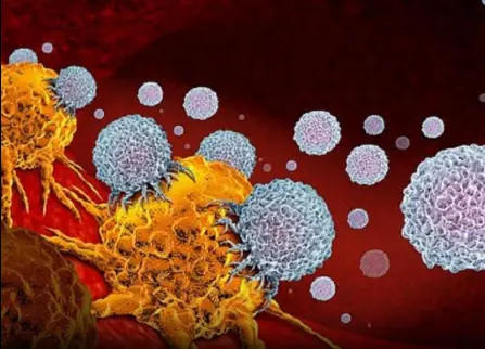 Itching in 9 Areas: A Warning Sign of Malignant Tumors, Number 7 Is the Most Common