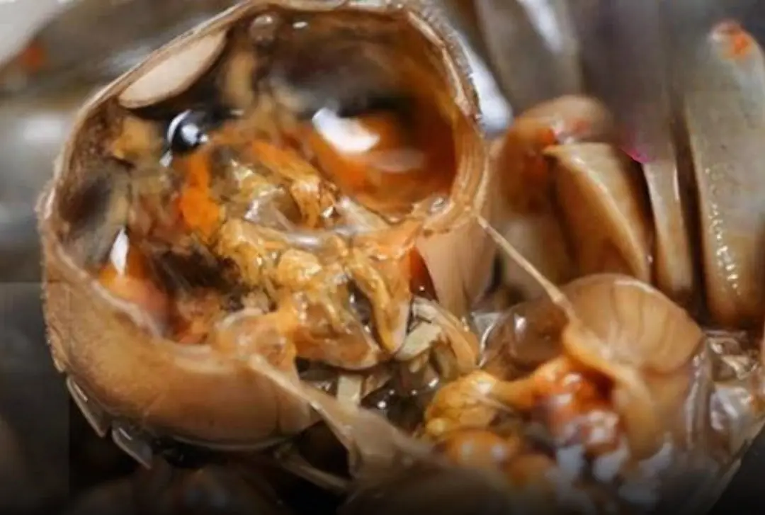 These 4 Foods Are Full of Parasites