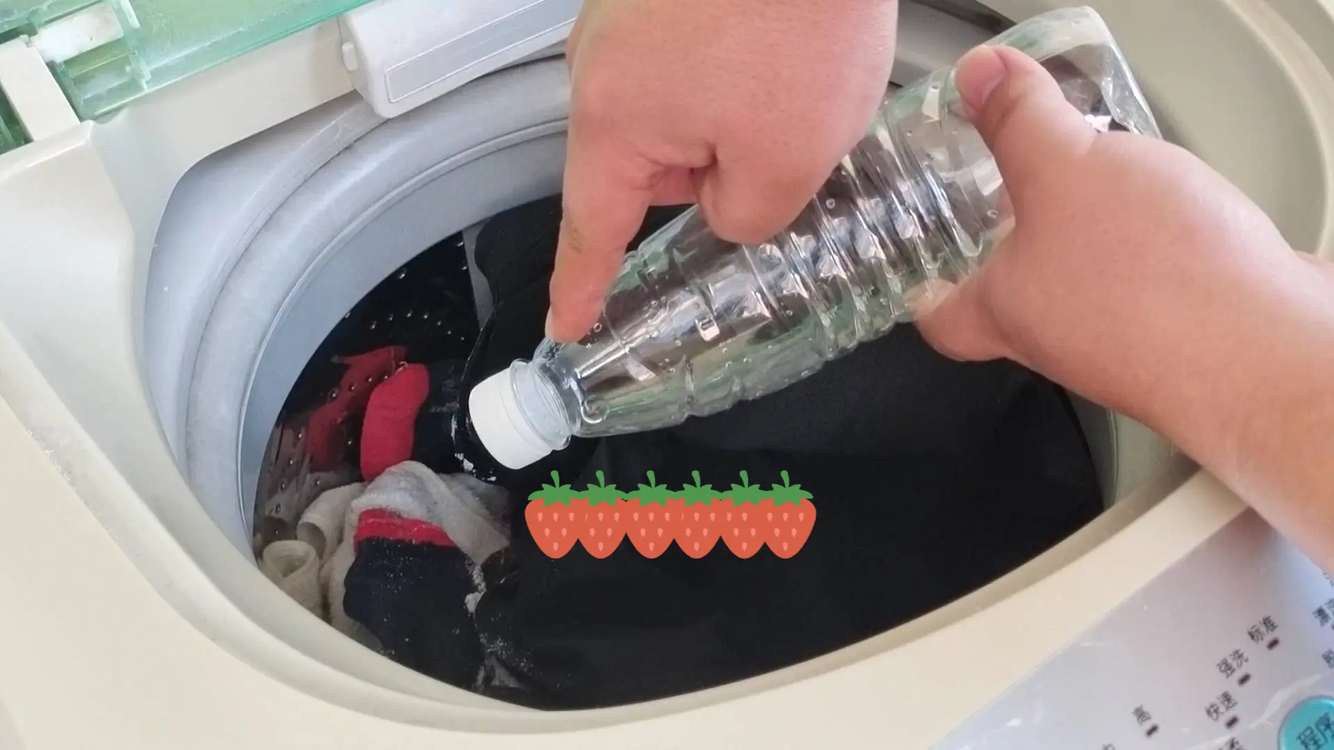 Put an empty plastic bottle in the washing machine — the person who invented this hack must have sky-high IQ