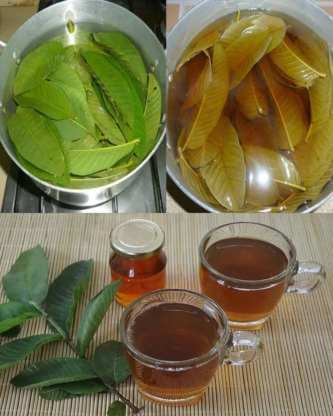 25 Incredible Benefits of Guava Leaves You Should Know