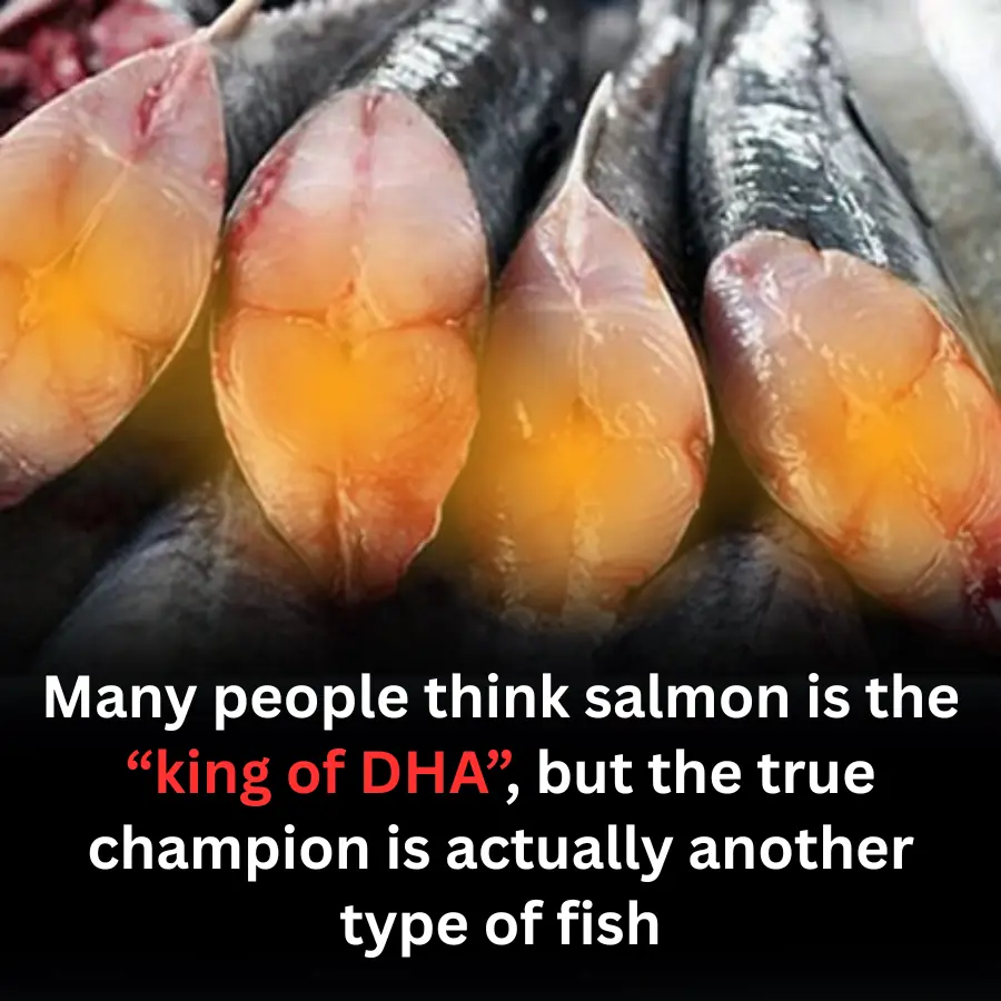 If You Think Salmon Is the “King of DHA”, Think Again — This Fish Is the Real Champion