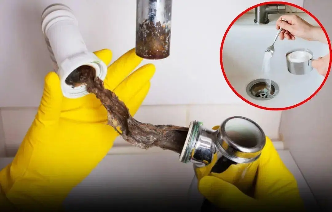 Simple tips to deal with clogged pipes at home