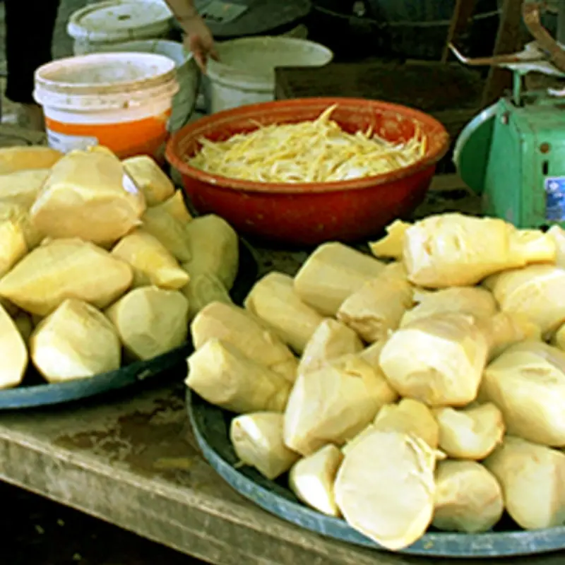 Five Fruits Often Labeled “Can.cer-Causing”: What Doctors Say and the Truth Behind the Warning