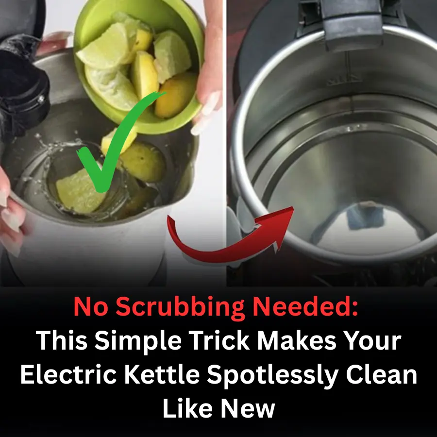 No Scrubbing Needed: This Simple Trick Makes Your Electric Kettle Spotlessly Clean Like New