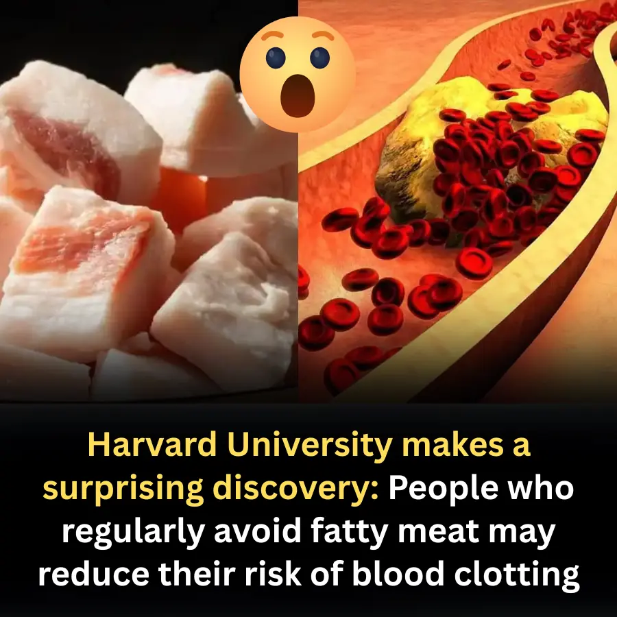 Harvard Study Reveals a Surprising Link Between Fatty Meat Consumption and Blood Clot Formation