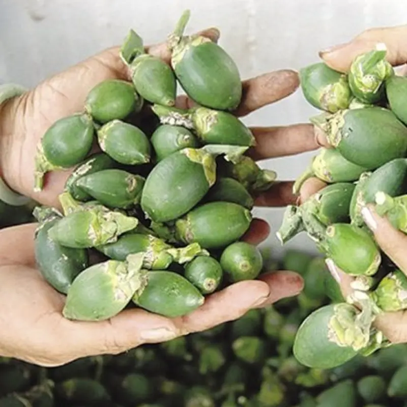 Doctors Warn: 4 Types of Fruit Said to “Feed” Cancer Cells — Why You Should Be Careful, No Matter How Cheap They Are