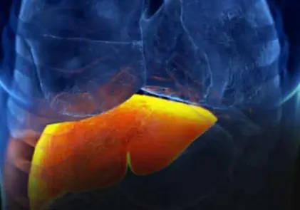 Science backs it up: 3 fruits that fight fatty liver, regulate sugar and cholesterol