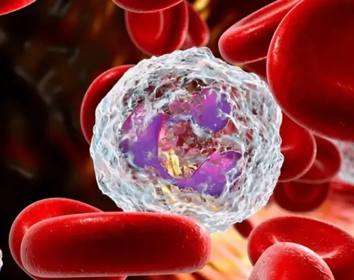 Research suggests a link between blo.od type and stomach can.cer risk