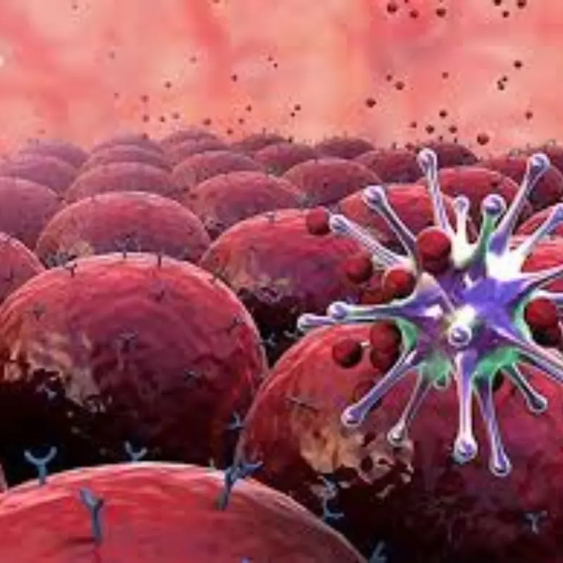 This Food May Help “Slow Down” Can.cer Growth — It’s Hidden in Daily Meals, Yet Many People Don’t Eat Enough of It