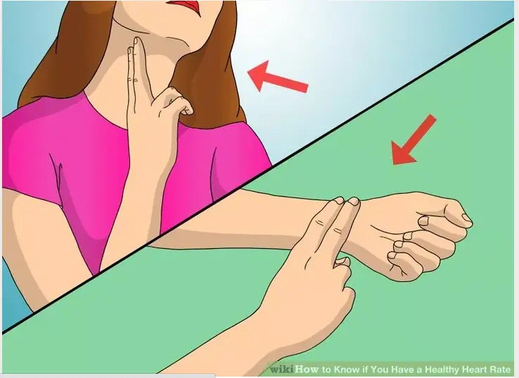 7 Simple Ways to Check If Your He.art Is Healthy