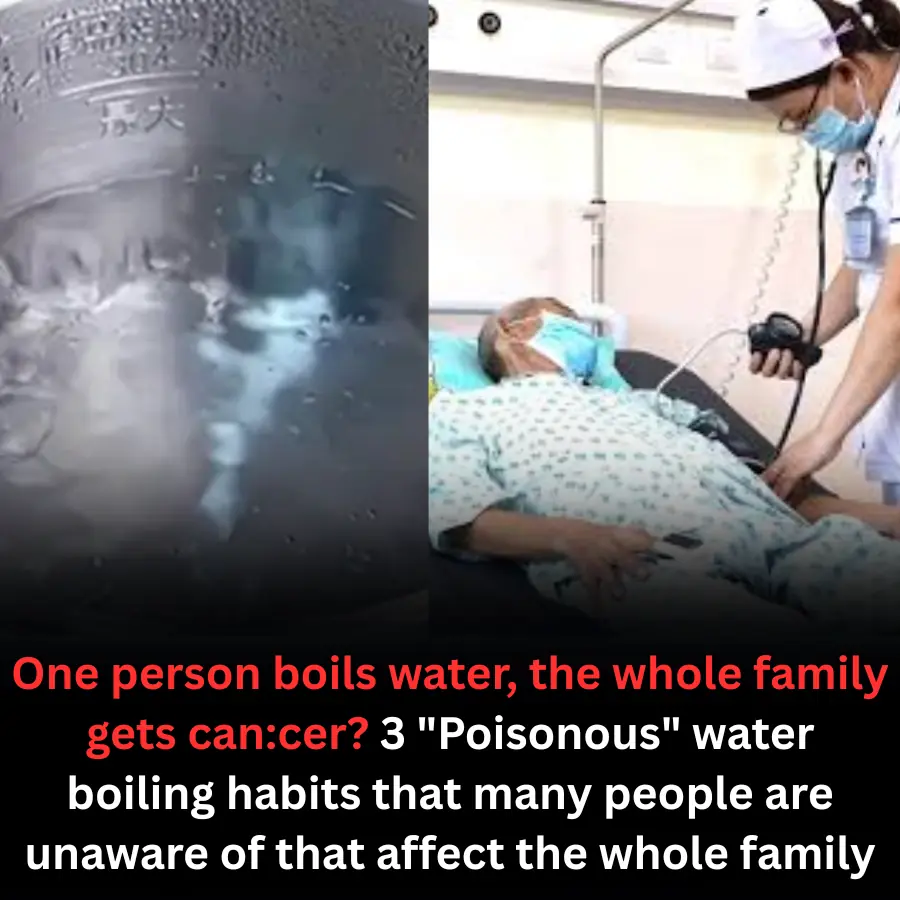 Boiling Water the Wrong Way? Experts Warn: These 3 Common Habits May Increase Cancer Risk for the Whole Family
