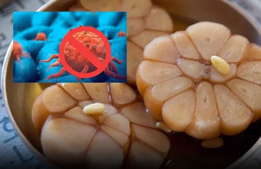 There is no medicine as benign as the substances in food.