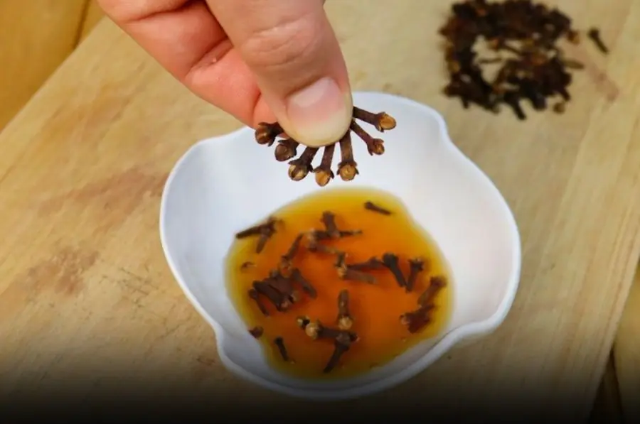 Mix cloves, honey, and cinnamon and you will thank me! This is my grandmother's secret...