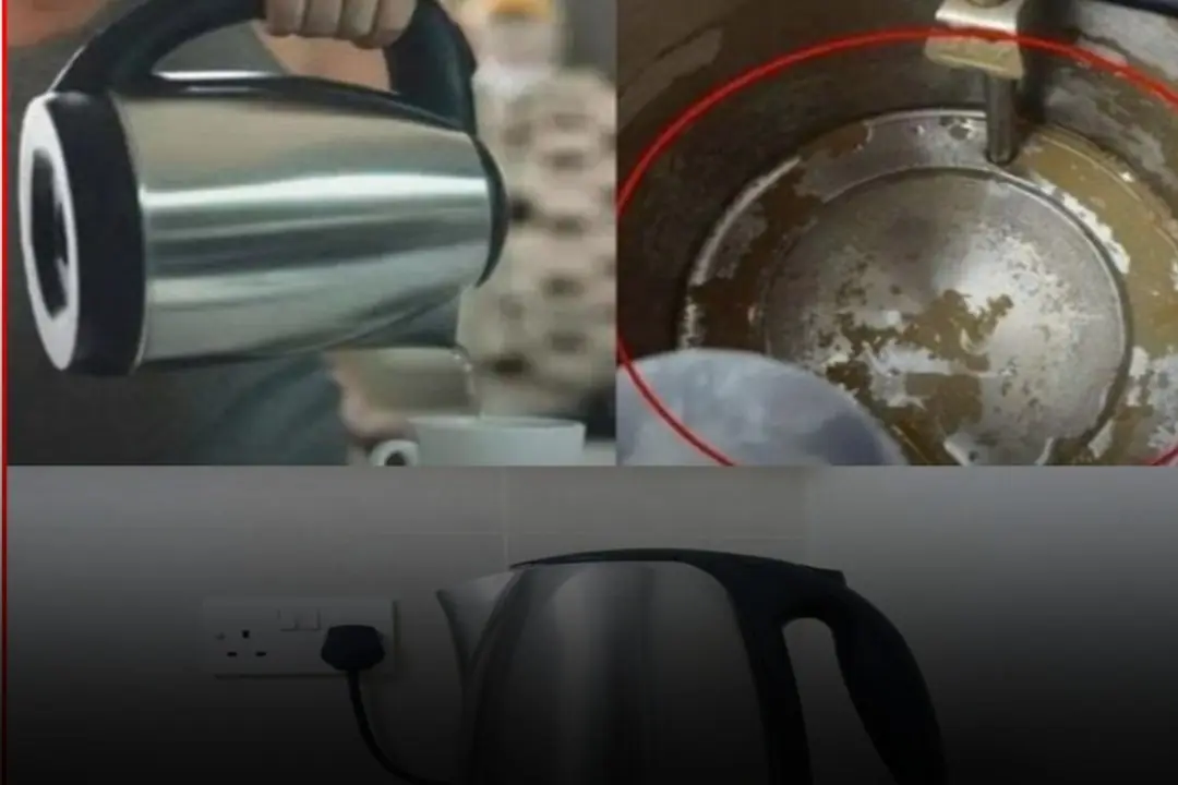 Condolences to those who are using these 4 types of electric kettles