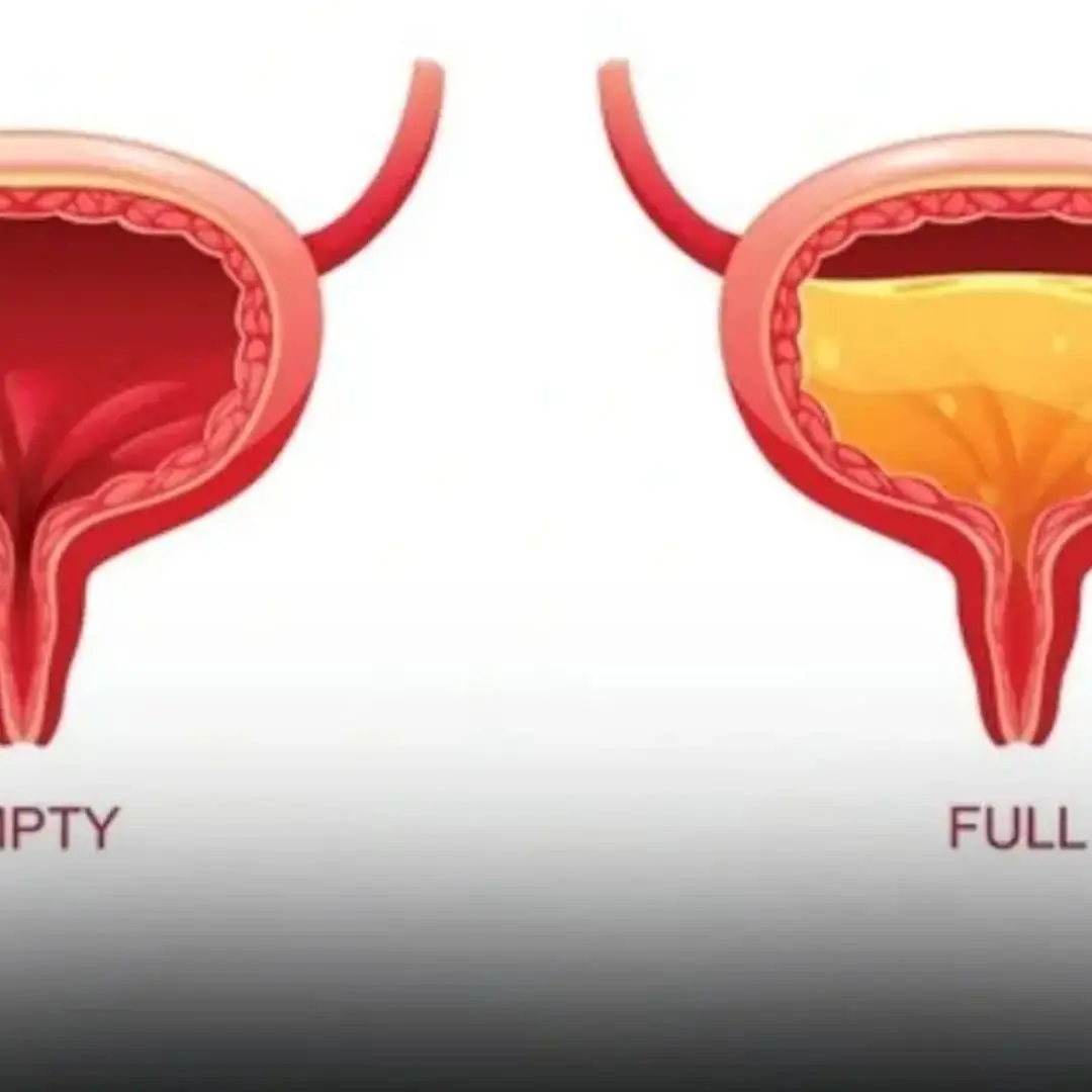 7 Foods To Eat And 7 Το Avoid For Bladder Health