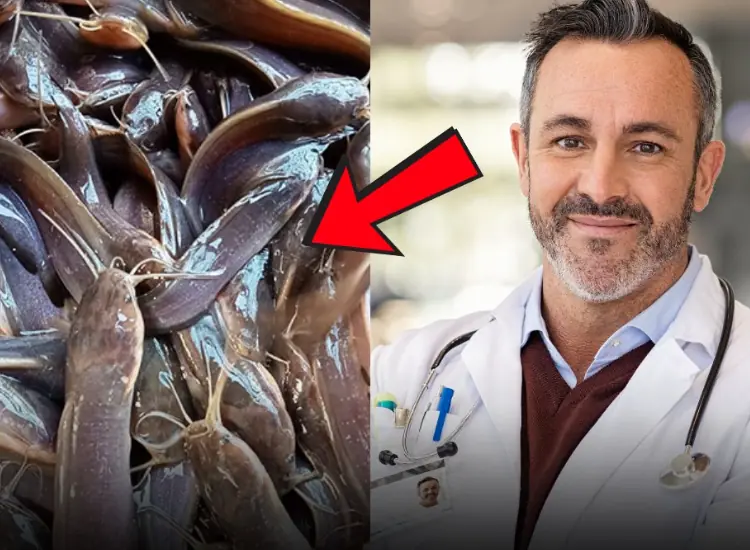 6 types of fish you should avoid eating - Even if they are cheap