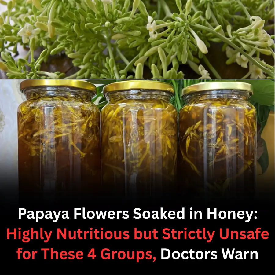 Papaya Flowers Soaked in Honey: Highly Nutritious but Strictly Unsafe for These 4 Groups, Doctors Warn