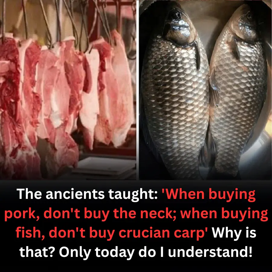 Ancient Wisdom Explains: “Don’t Buy Pork Neck, Don’t Buy Crucian Carp”—The Real Reasons Revealed Today