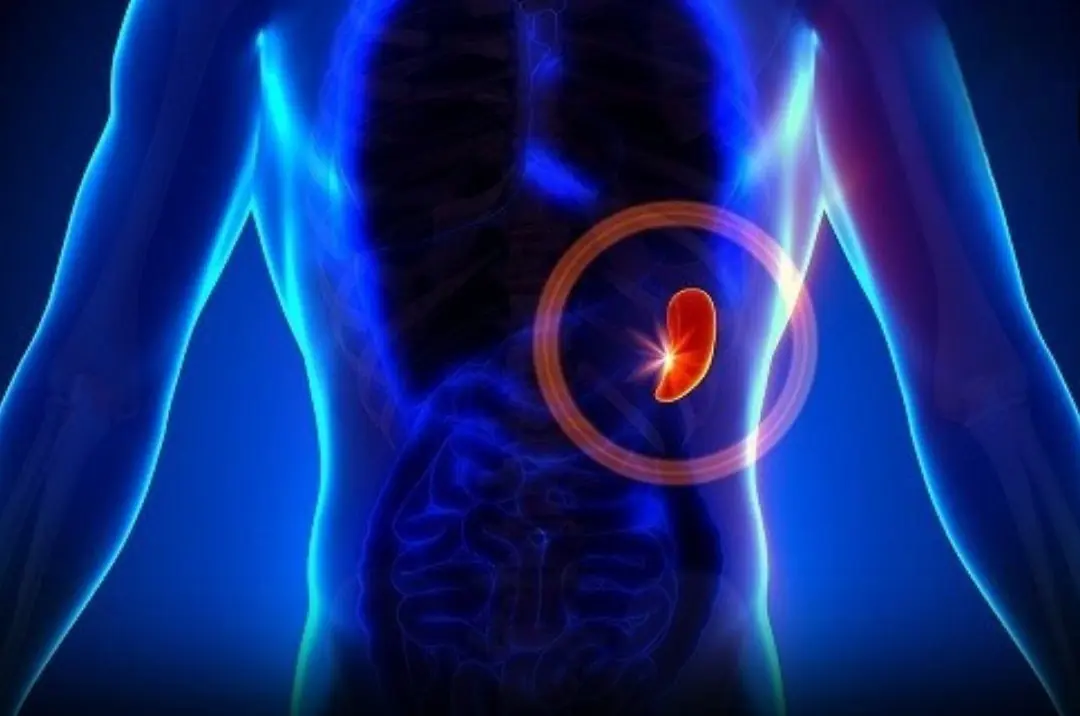 Wa.rning: Sple.en Ca.nc.er and Things Not to Be Ignored