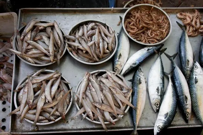 4 Types of Fish That Are Prone to Heavy Metal Contamination — Even Sellers Rarely Eat Them