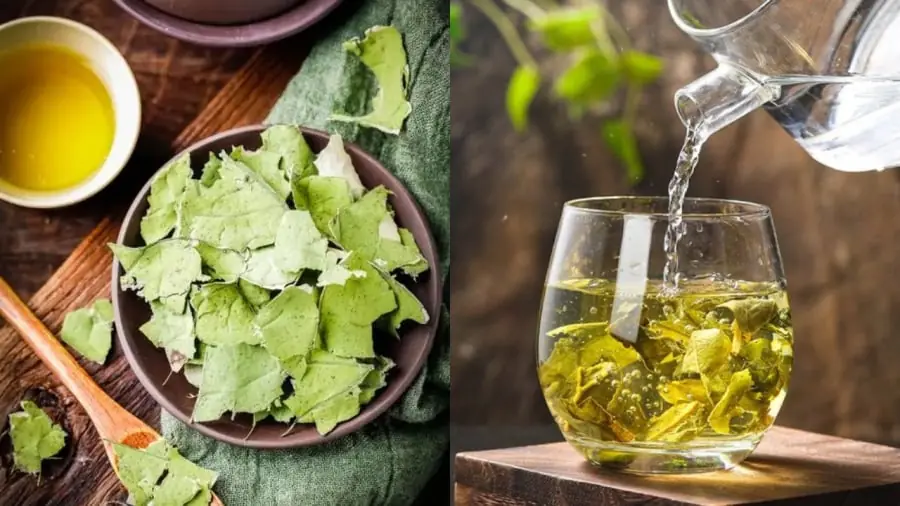 How to Drink Dried Lotus Leaf Water Safely and Effectively to Lose Weight and Lower Blo.od Lipids