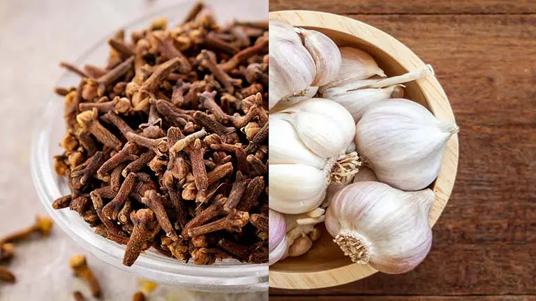 Leg pain, rheumatism, varicose veins, arthritis – a natural remedy with cloves and garlic that many people don't know about