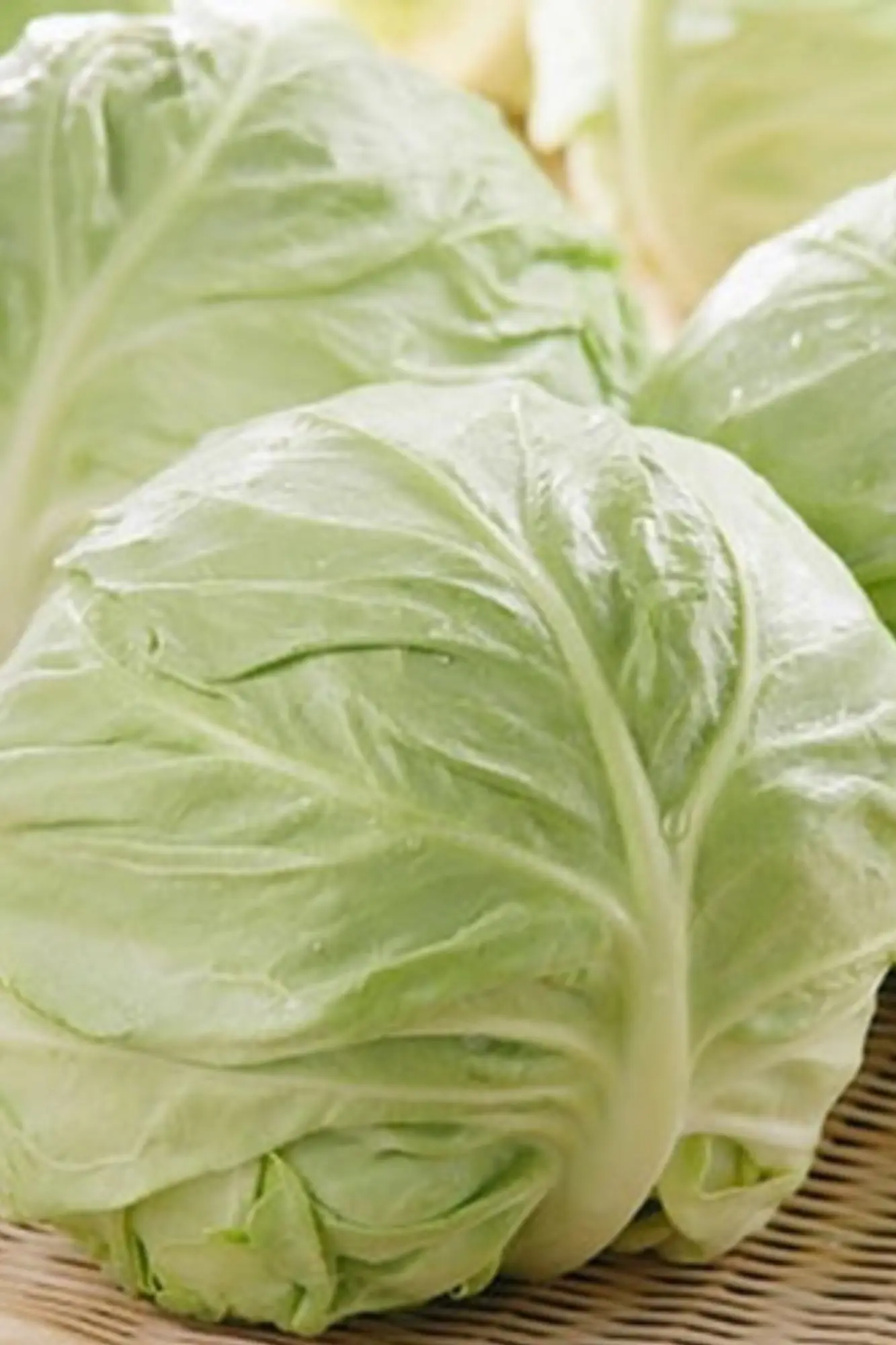 4 types of people who should avoid eating cabbage
