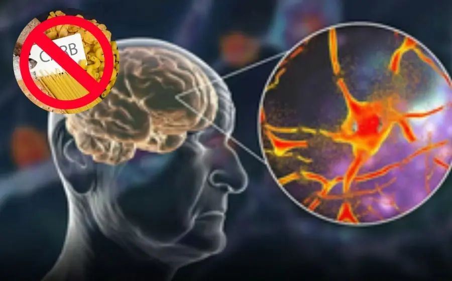 If you want to maintain a clear memory, you should limit the consumption of the following foods.