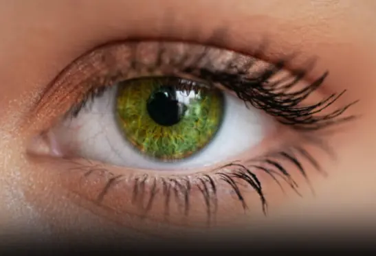 Why People with Green Eyes Are So Fascinating