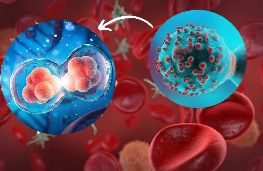 Canc.er Is Often Painless at First — But If You Notice These 8 Bathroom Signs, Do Not Ignore Them