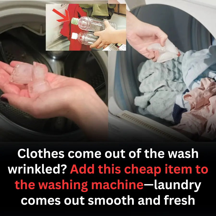 Clothes come out of the wash wrinkled? Add this cheap item to the washing machine—laundry comes out smooth and fresh