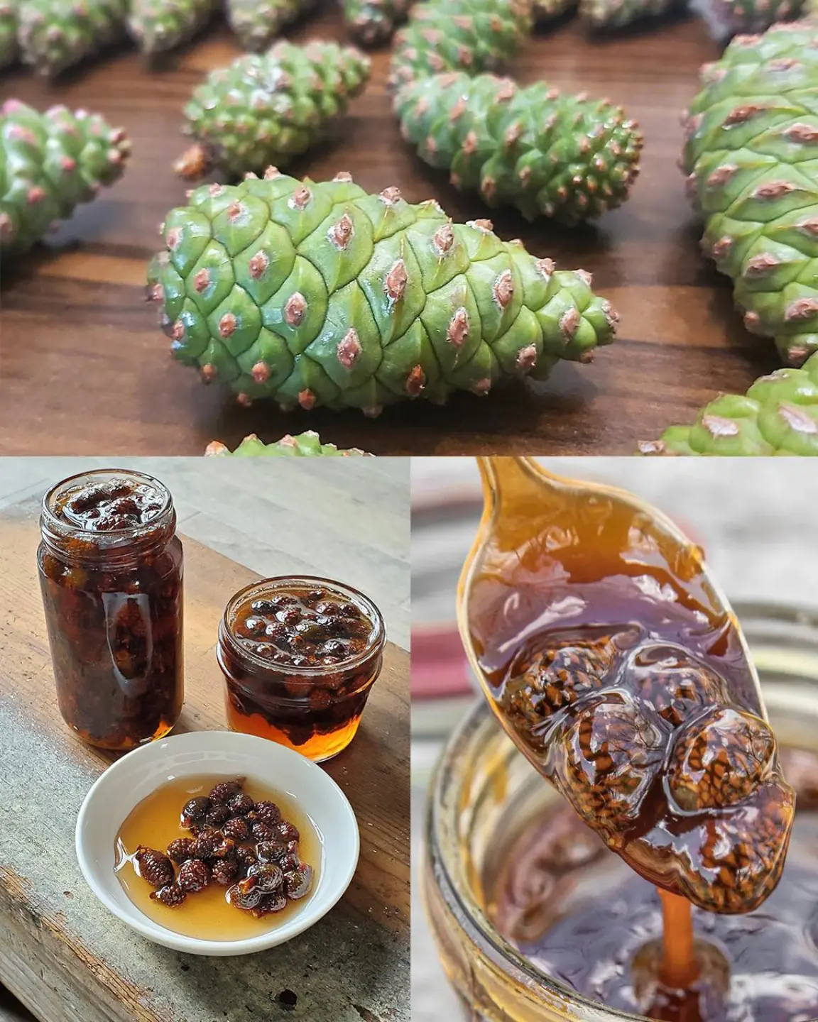 Pine Cone Syrup for Beginners: Natural Benefits, How to Make It, and Practical Uses