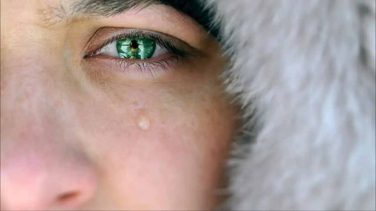 Why people with green eyes are so fascinating?