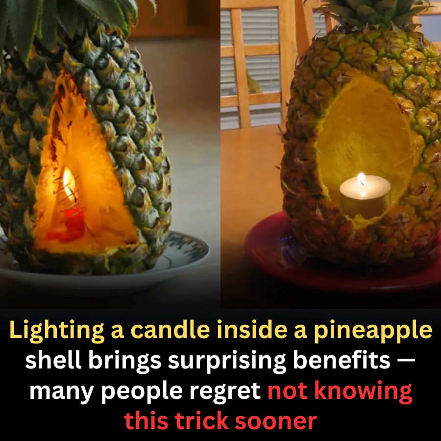 A Simple Home Hack: Light a Candle in a Pineapple Shell and Enjoy Unexpected Benefits
