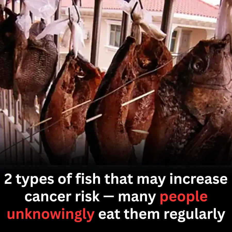 Be Careful: These 2 Types of Fish May Increase Cancer Risk if Eaten Frequently