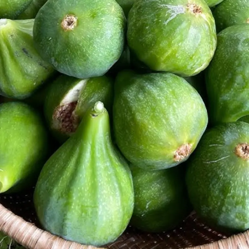 Even can.cer cells can’t stand these four fruits, which are loved and cultivated worldwide