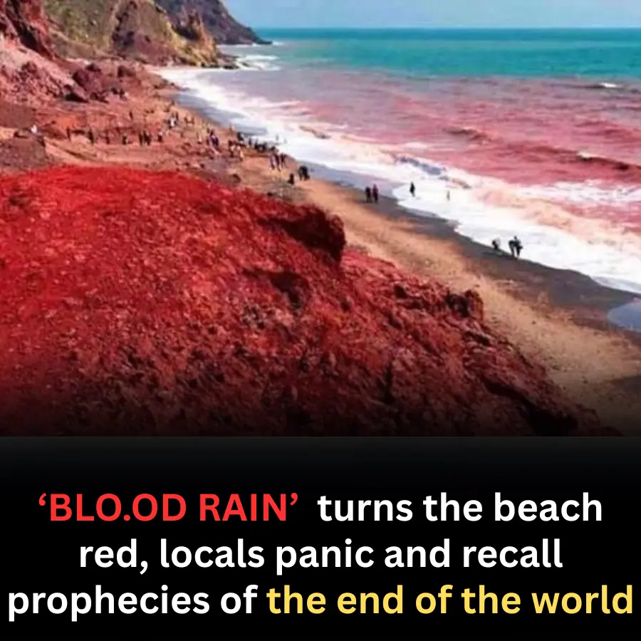 ‘BLO.OD RAIN’  turns the beach red, locals panic and recall prophecies of the end of the world