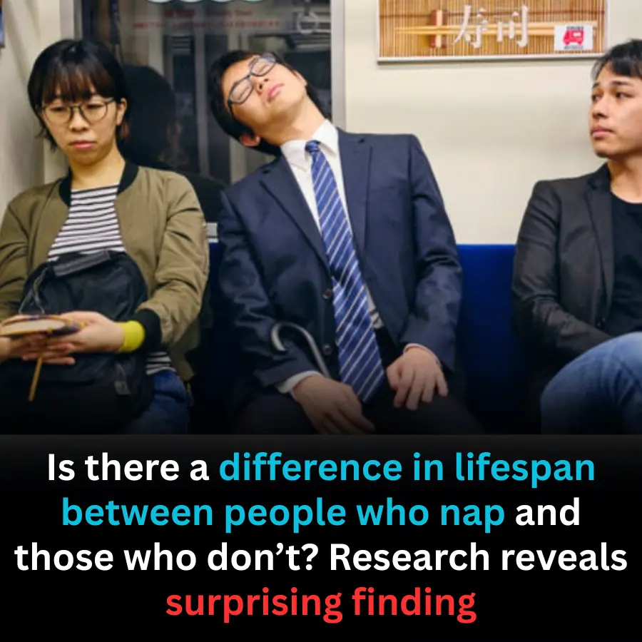 Is there a difference in lifespan between people who nap and those who don’t? Research reveals surprising finding