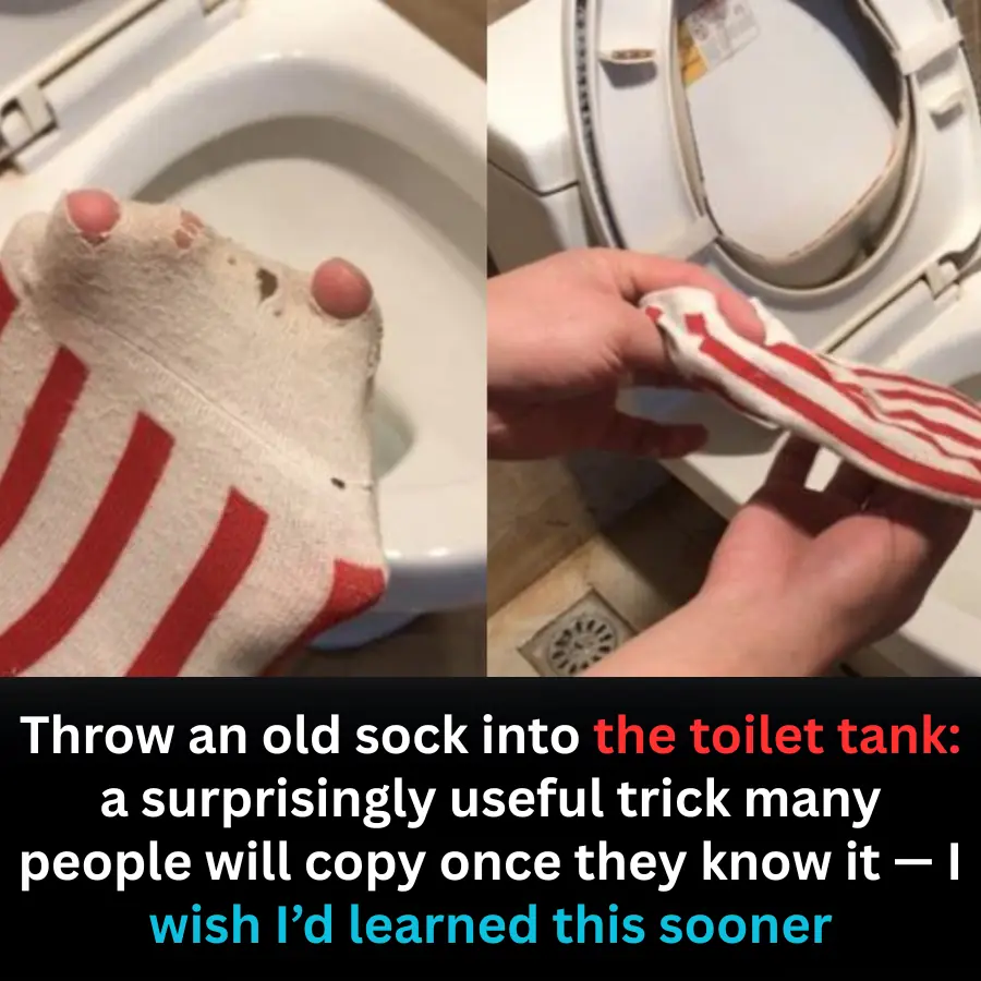 Throw an old sock into the toilet tank: a surprisingly useful trick many people will copy once they know it — I wish I’d learned this sooner