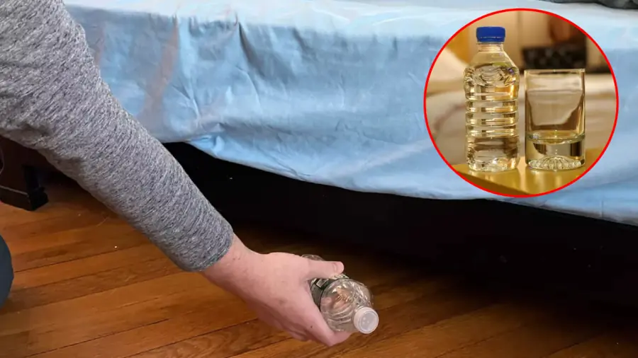 Always Throw a Water Bottle Under the Hotel Bed: A Flight Attendant Reveals Why