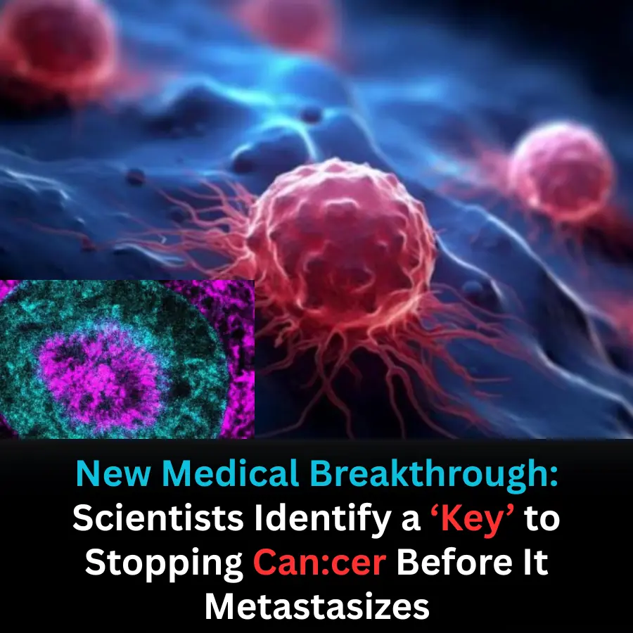 A breakthrough that could stop cancer before it spreads — scientists may have found the missing key