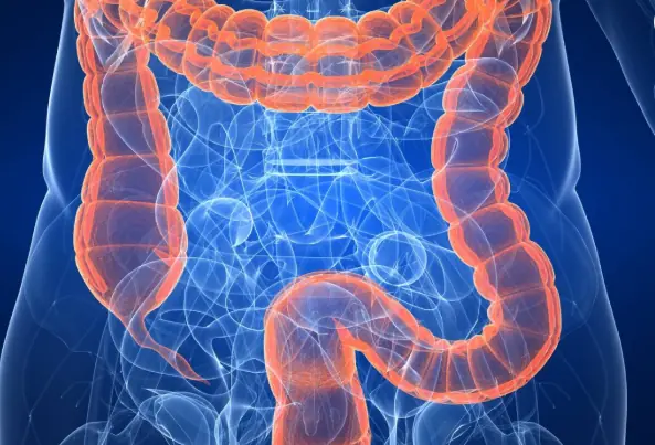 The Ten Foods You Should Start Eating Now to Cleanse Your Colon