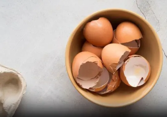 Put eggshells in a pan to dry roast, many great uses, save a lot of money