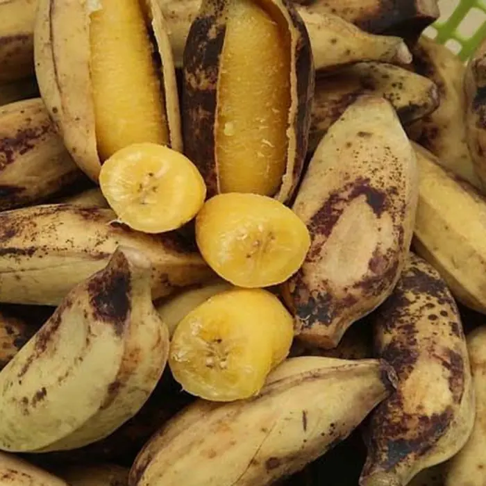 Cooking Certain Fruits Can Enhance Their Nutrients, Helping Improve Skin Health and Support Disease Prevention