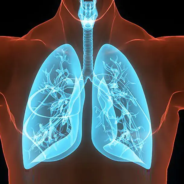 8 Signs You Have Low Blo:od Oxygen Levels