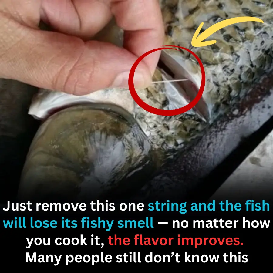 Remove This One String to Eliminate Fishy Smell — A Simple Cooking Secret Many People Miss