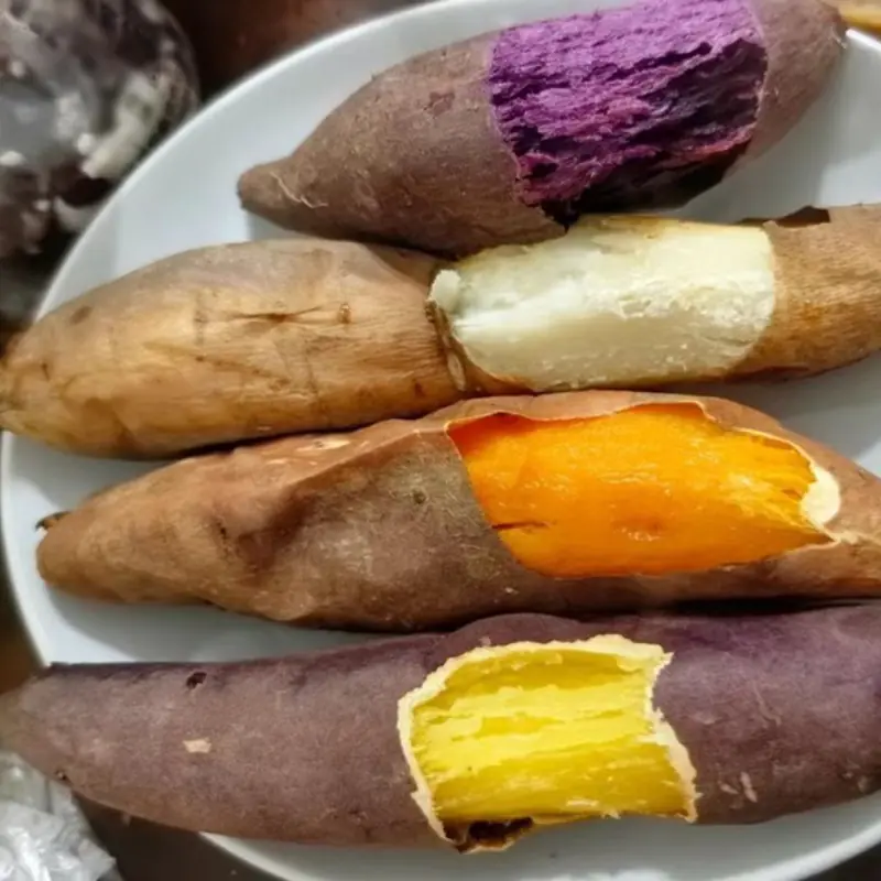 These 4 Morning Foods May Help Clean the Gut and Prevent Can.cer