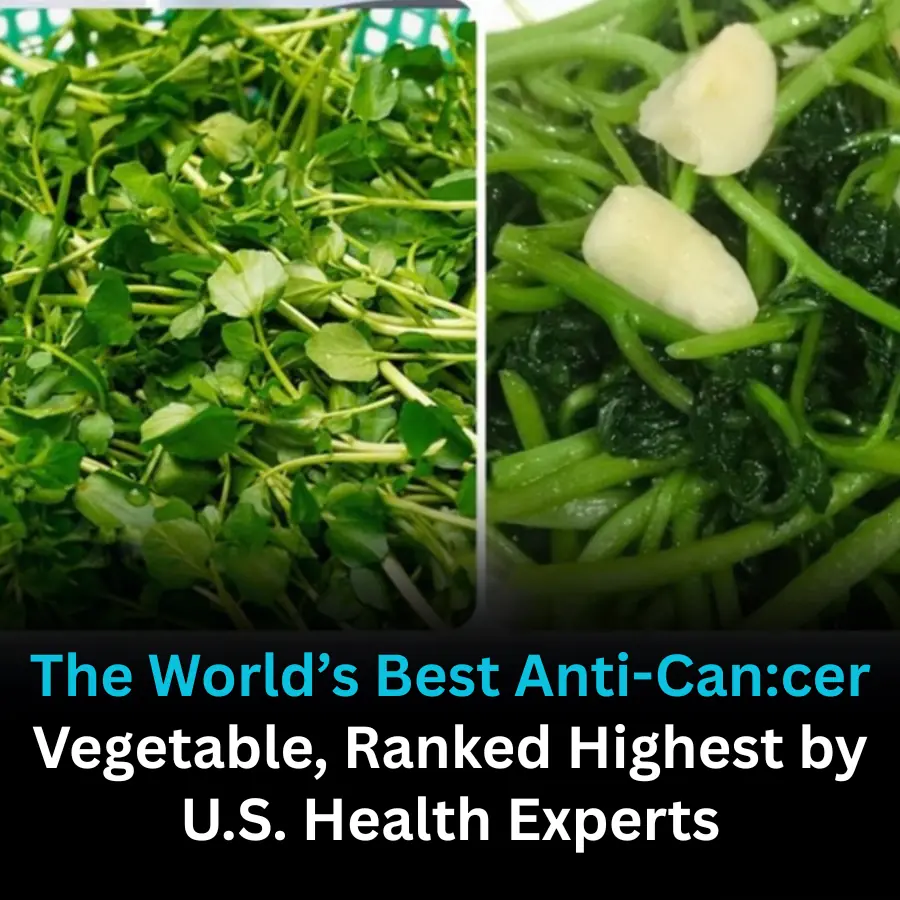 The Anti-Can:cer Vegetable Ranked Best in the World by U.S. Experts